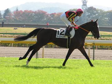 オーロマイスター