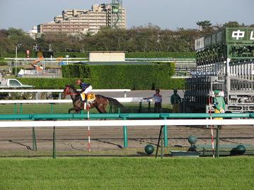 発走調教再審査