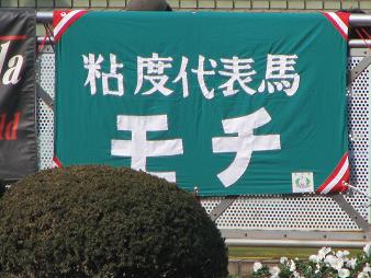 粘度代表馬「モチ」