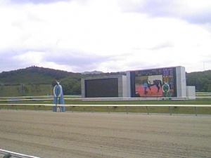 1243823300_0.jpg