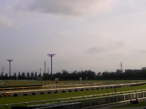 1251532731_0.jpg